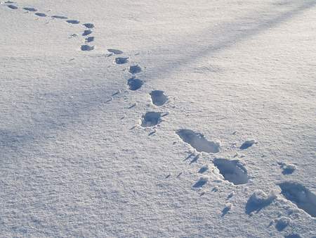 Footprints in the snow